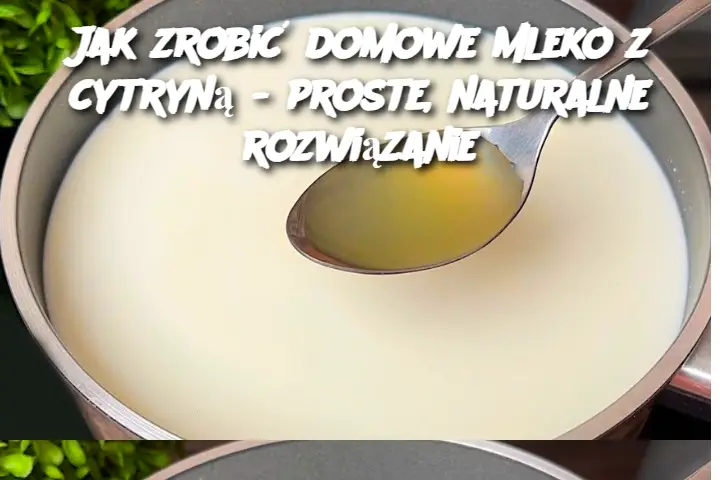 Jak zrobić domowe mleko z cytryną - proste, naturalne rozwiązanie