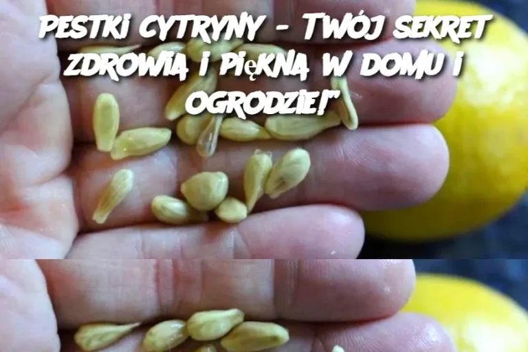 Pestki cytryny - Twój sekret zdrowia i piękna w domu i ogrodzie!