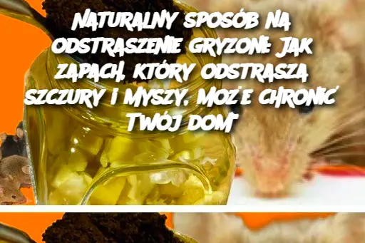 Naturalny sposób na odstraszenie gryzoni: Jak zapach, który odstrasza szczury i myszy, może chronić Twój dom"