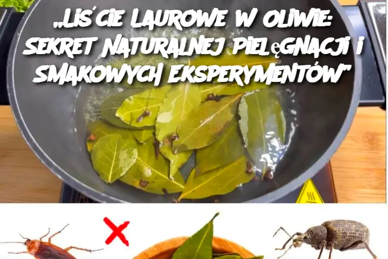 Liście Laurowe w Oliwie: Sekret Naturalnej Pielęgnacji i Smakowych Eksperymentów