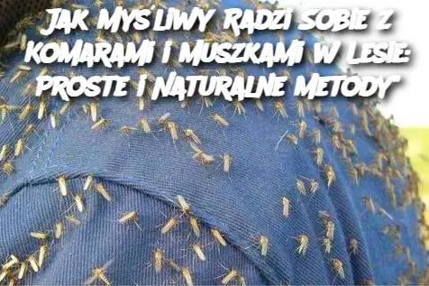 Jak Myśliwy Radzi Sobie z Komarami i Muszkami w Lesie: Proste i Naturalne Metody