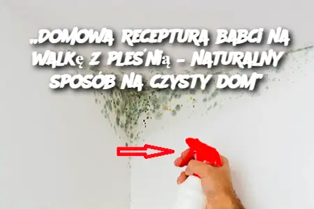 Domowa receptura babci na walkę z pleśnią – naturalny sposób na czysty dom