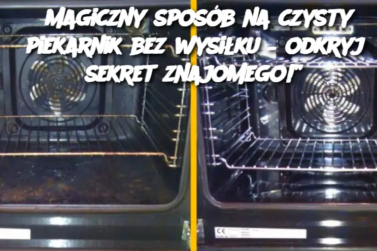 Magiczny sposób na czysty piekarnik bez wysiłku – odkryj sekret znajomego!