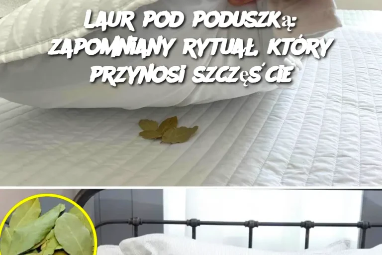 Laur pod poduszką: zapomniany rytuał, który przynosi szczęście