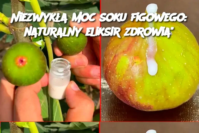 Niezwykła moc soku figowego: naturalny eliksir zdrowia