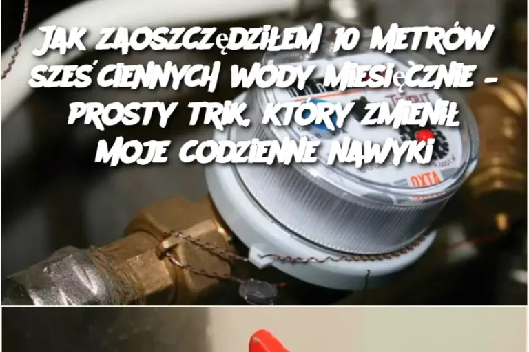 Jak zaoszczędziłem 10 metrów sześciennych wody miesięcznie – prosty trik, który zmienił moje codzienne nawyki