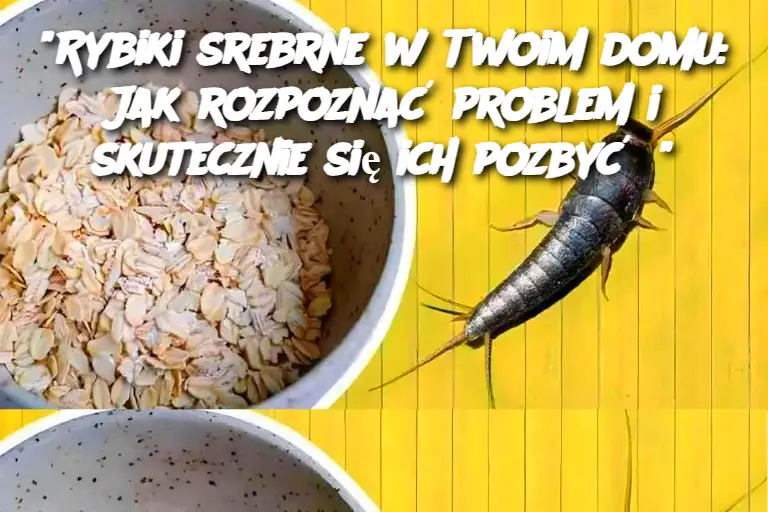 Rybiki srebrne w Twoim domu: Jak rozpoznać problem i skutecznie się ich pozbyć?