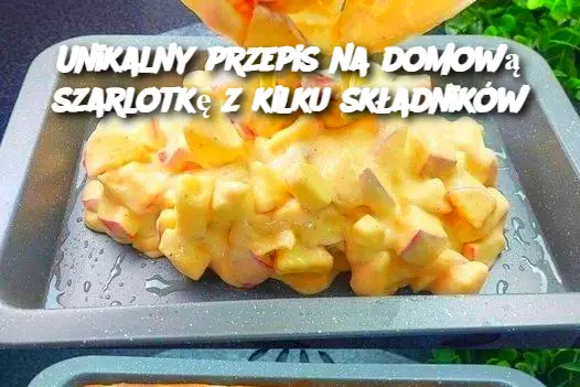 Unikalny przepis na domową szarlotkę z kilku składników