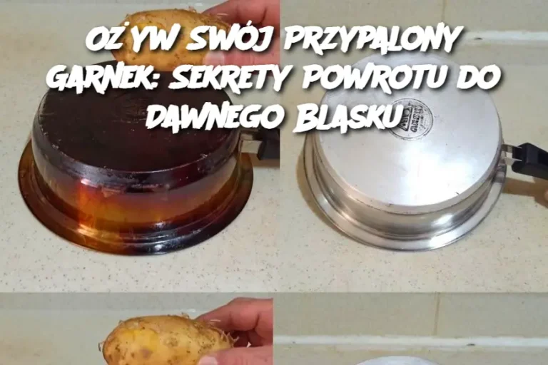 Ożyw Swój Przypalony Garnek: Sekrety Powrotu do Dawnego Blasku