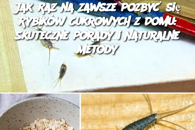 Jak Raz na Zawsze Pozbyć się Rybików Cukrowych z Domu: Skuteczne Porady i Naturalne Metody