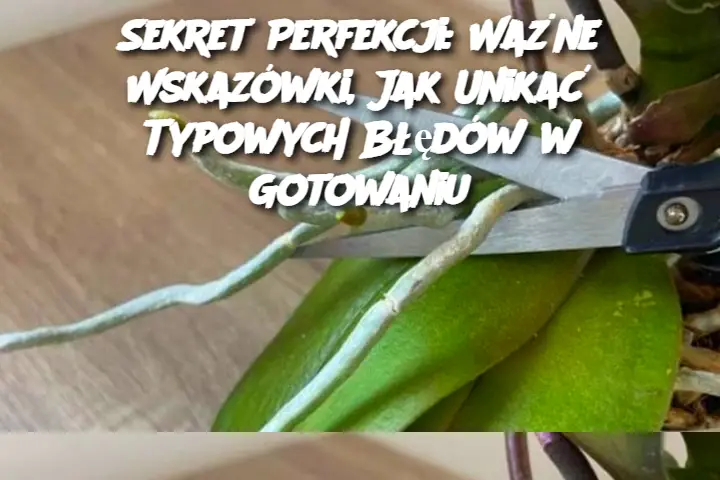 Sekret Perfekcji: Ważne Wskazówki, Jak Unikać Typowych Błędów w Gotowaniu