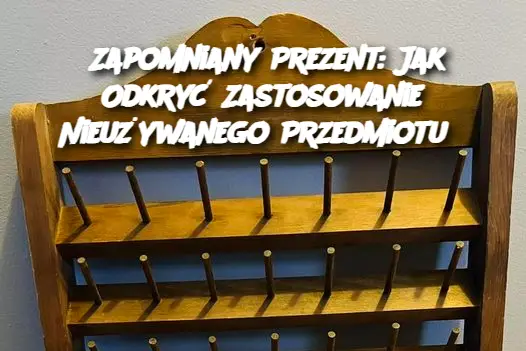 Zapomniany Prezent: Jak Odkryć Zastosowanie Nieużywanego Przedmiotu?