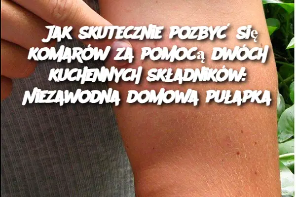 Jak skutecznie pozbyć się komarów za pomocą dwóch kuchennych składników: Niezawodna domowa pułapka