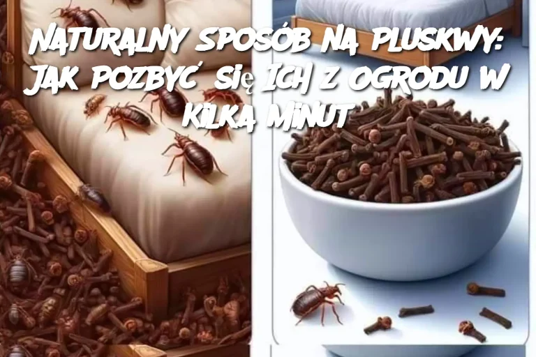 Naturalny Sposób na Pluskwy: Jak Pozbyć się Ich z Ogrodu w Kilka Minut