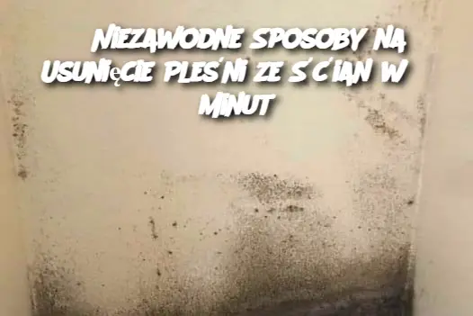 3 Niezawodne Sposoby na Usunięcie Pleśni ze Śćian w 5 Minut