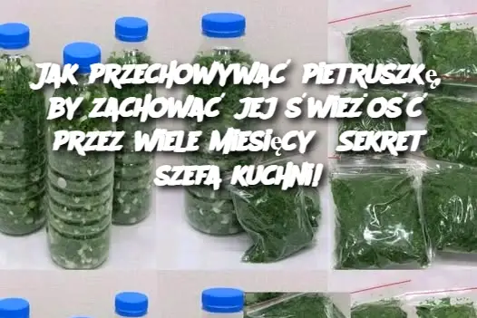 Jak przechowywać pietruszkę, by zachować jej świeżość przez wiele miesięcy? Sekret szefa kuchni!