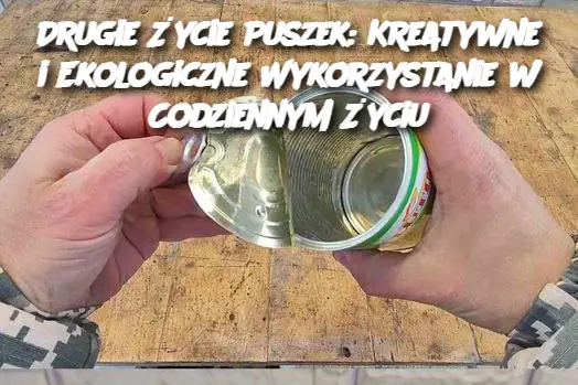 Drugie Życie Puszek: Kreatywne i Ekologiczne Wykorzystanie w Codziennym Życiu