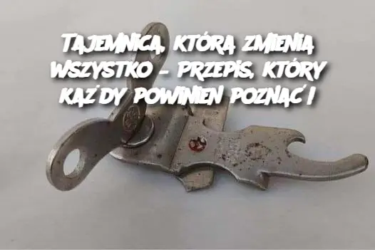 Tajemnica, która zmienia wszystko – Przepis, który każdy powinien poznać!