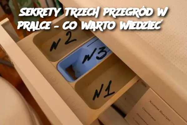 Sekrety trzech przegród w pralce – Co warto wiedzieć?