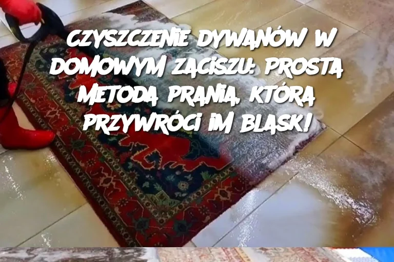 Czyszczenie dywanów w domowym zaciszu: Prosta metoda prania, która przywróci im blask!