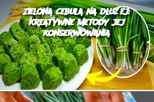 Zielona cebula na dłużej: Kreatywne metody jej konserwowania