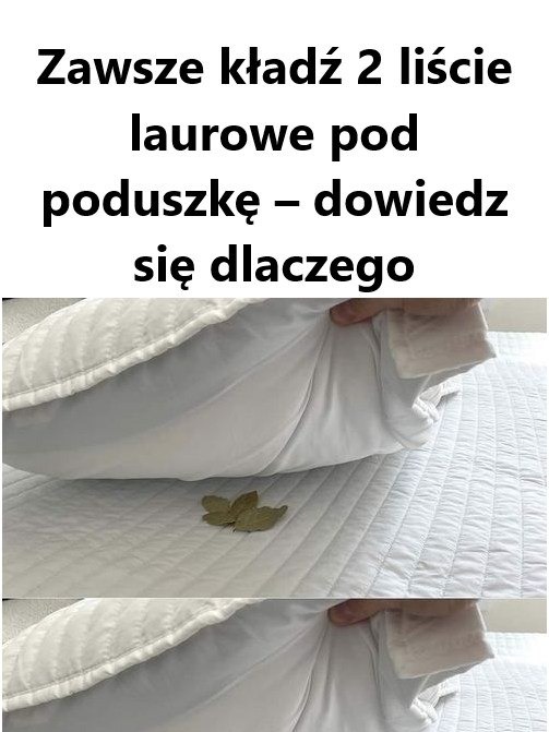 Dlaczego warto kłaść 2 liście laurowe pod poduszkę? Odkryj tajemnice tej tradycji