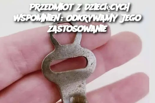 Przedmiot Z Dziecięcych Wspomnień: Odkrywamy Jego Zastosowanie