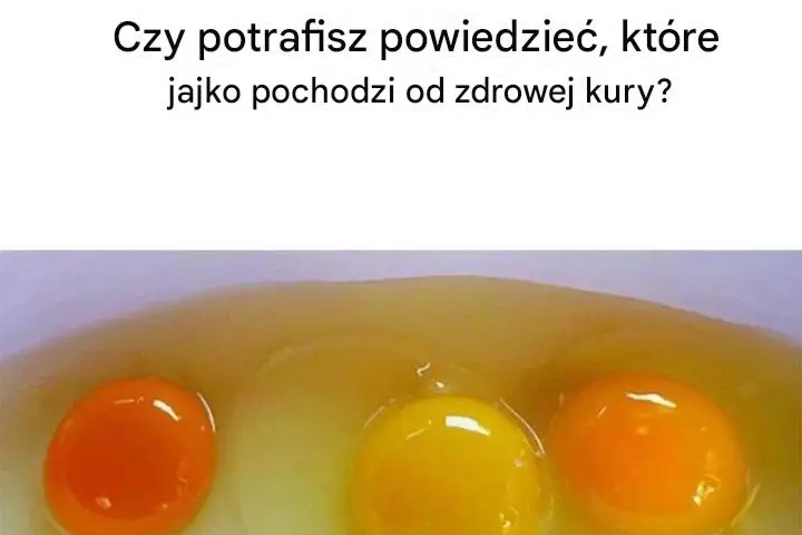 Zaskakująca Kuchnia: Jak Przypadkowe Odkrycia Zmieniają Mój Styl Gotowania