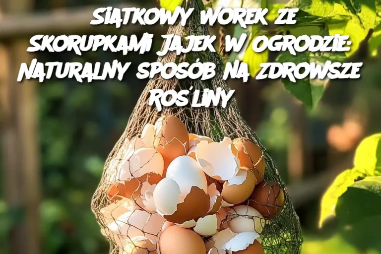 Siatkowy Worek ze Skorupkami Jajek w Ogrodzie: Naturalny sposób na Zdrowsze Rośliny