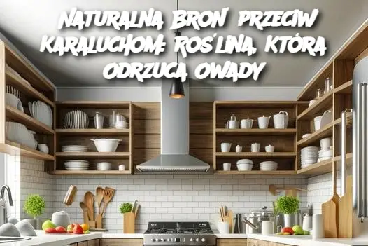 Naturalna Broń przeciw Karaluchom: Roślina, Która Odrzuca Owady