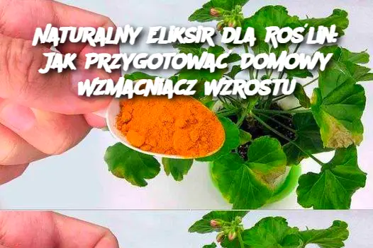 Naturalny Eliksir dla Roślin: Jak Przygotować Domowy Wzmacniacz Wzrostu