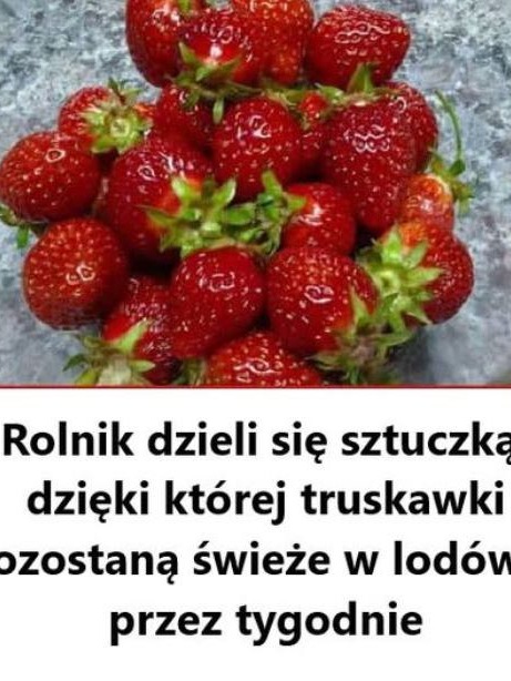 Jak przedłużyć świeżość truskawek? Skuteczne sposoby na dłuższe przechowywanie owoców