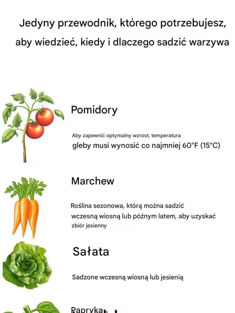 🌱 Kalendarz Ogrodnika: Kiedy i Dlaczego Sadzić Warzywa, Aby Cieszyć Się Obfitymi Plonami? 🌱