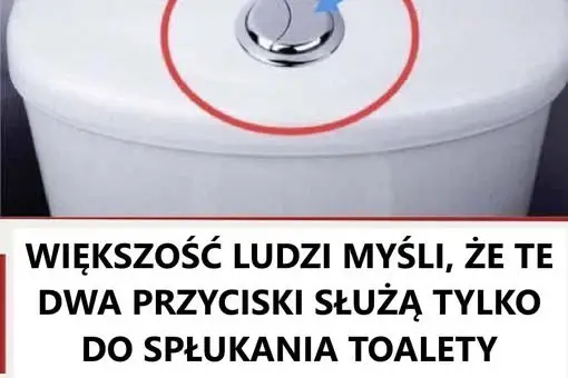 Odwiedziny w toalecie: Co oznaczają dwa przyciski na spłuczce?